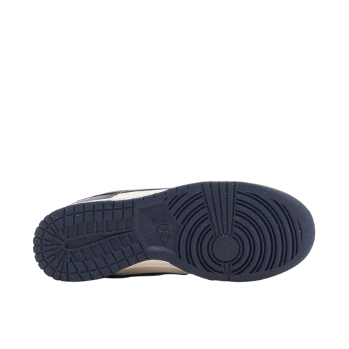 Nike Dunk Low Next Nature Olympic