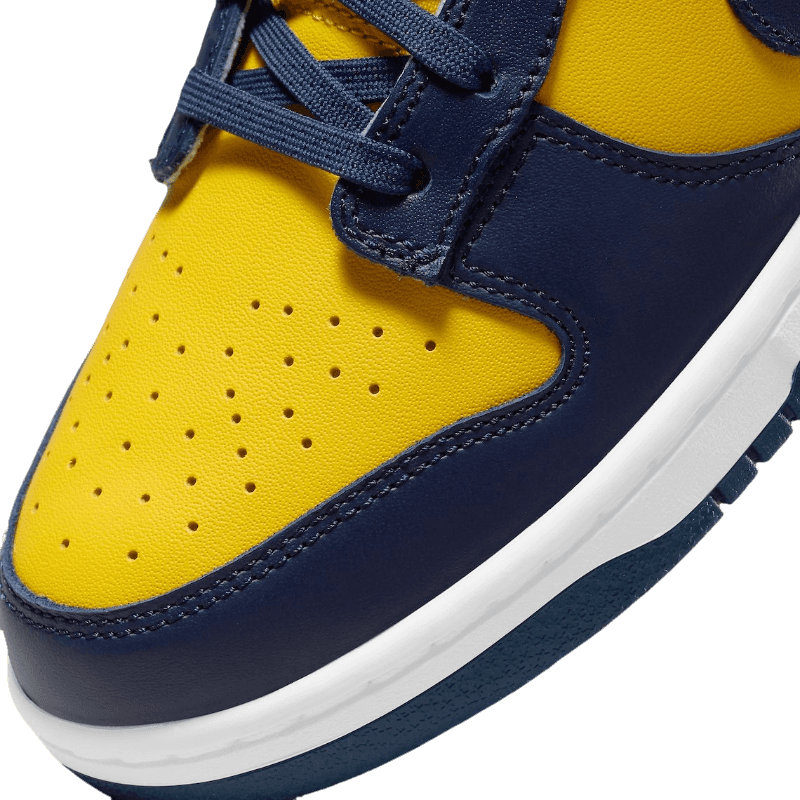 Dunk Low Michigan
